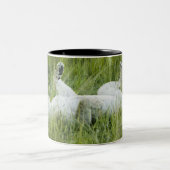 Löwerollen im hohen Gras, Afrika Zweifarbige Tasse (Mittel)