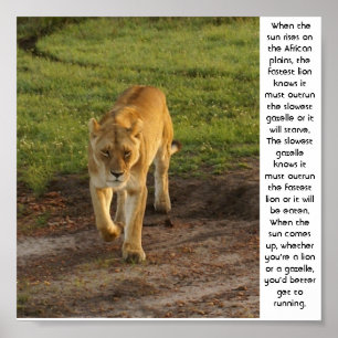 Löwin an inspirierend Plakat Masai-Maras