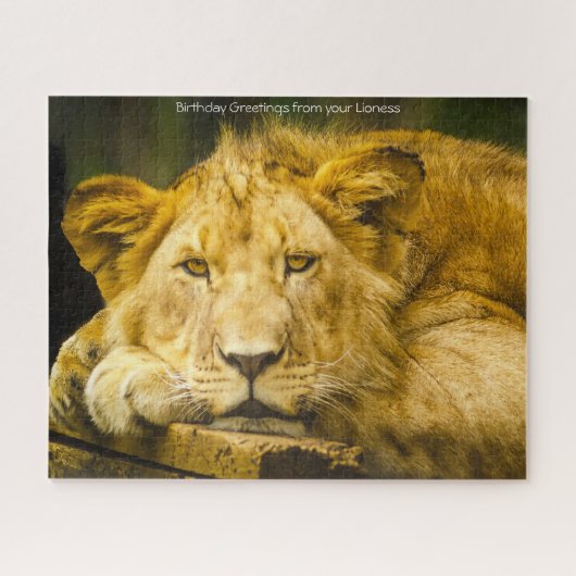 Löwin Großkatzen. Puzzle (Horizontal)