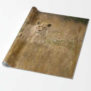 LÖWIN IM GRAS GESCHENKPAPIER