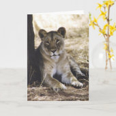 Löwin Karte (Gelbe Blume)