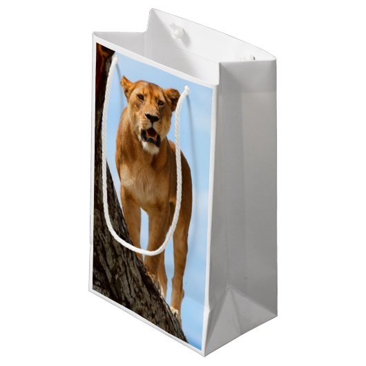 Löwin Kleine Geschenktüte (Vorderseite Schrägansicht)