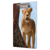 Löwin Klemmbrett (Links)