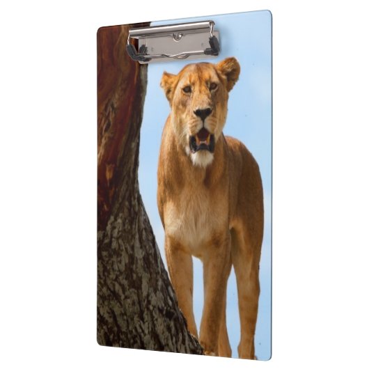 Löwin Klemmbrett (Links)