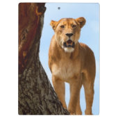 Löwin Klemmbrett (Rückseite)