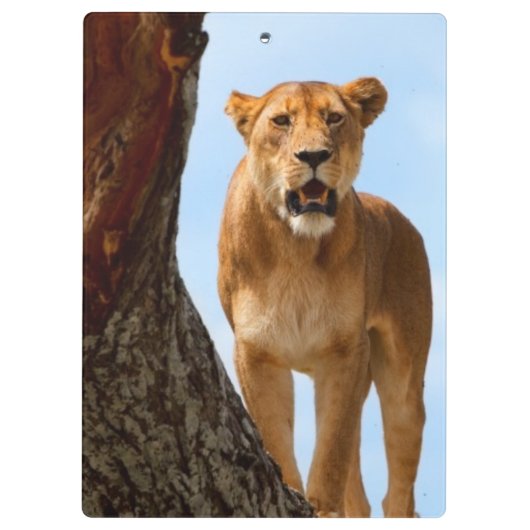 Löwin Klemmbrett (Rückseite)
