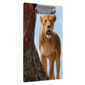 Löwin Klemmbrett (Rechts)