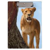 Löwin Klemmbrett (Vorderseite)