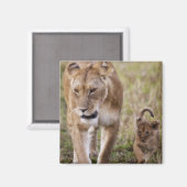 Löwin mit Jungtier Magnet (Vorderseite/Rückseite)