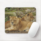 Löwin mousepad (Mit Mouse)
