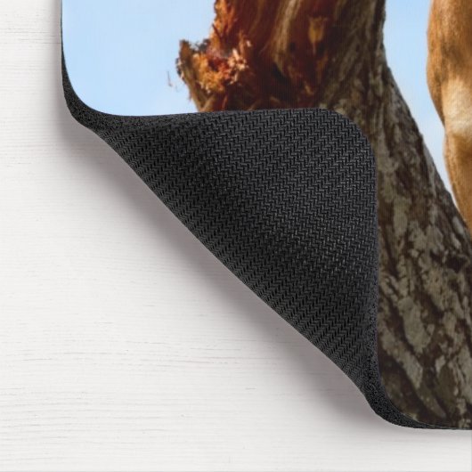 Löwin Mousepad (Ecke)