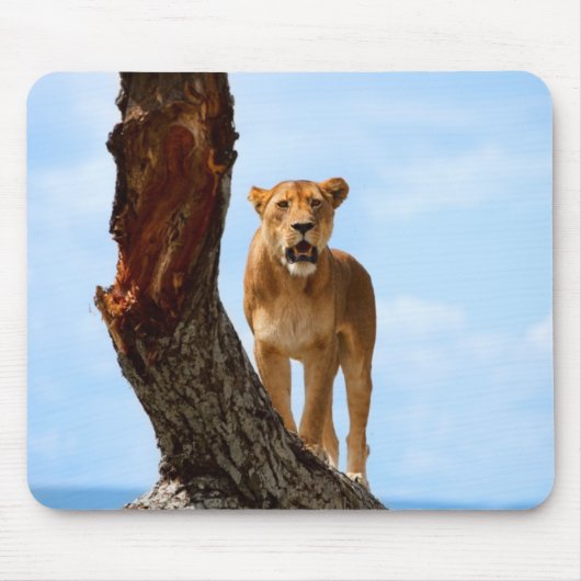 Löwin Mousepad (Vorne)