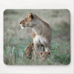 Löwin (Panthera Löwe) und Junge, Masais Mara Mousepad