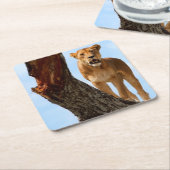 Löwin Rechteckiger Pappuntersetzer (angewinkelt)