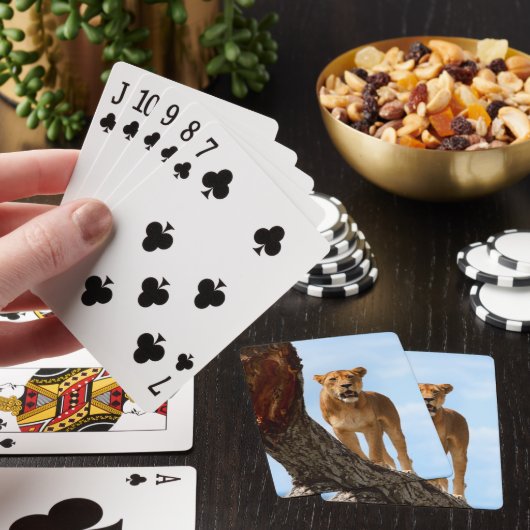 Löwin Spielkarten (In Situ)