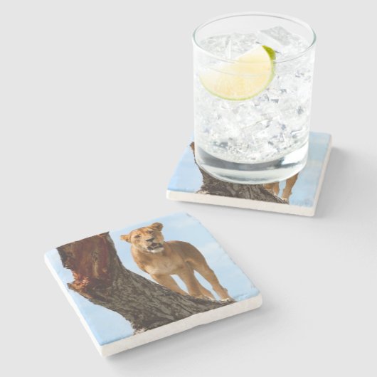 Löwin Steinuntersetzer (Seitenansicht)