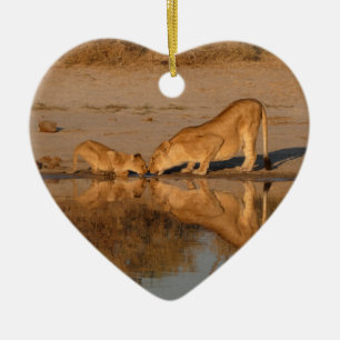 LÖWIN UND JUNGTIER BEIM REFLEKTIERTEN TRINKEN KERAMIK ORNAMENT