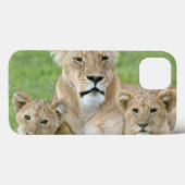 Löwin und zwei CUB, Ostafrika, Tansania, Case-Mate iPhone Hülle (Rückseite (Horizontal))
