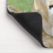 Löwin und zwei Junge, Ostafrika, Tansania, Mousepad (Ecke)