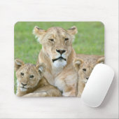 Löwin und zwei Junge, Ostafrika, Tansania, Mousepad (Mit Mouse)