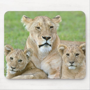 Löwin und zwei Junge, Ostafrika, Tansania, Mousepad
