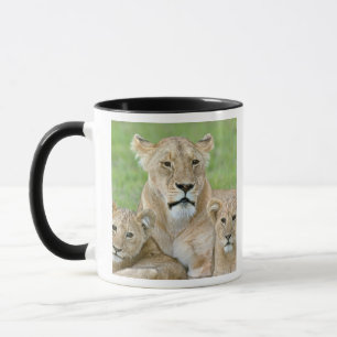 Löwin und zwei Junge, Ostafrika, Tansania, Tasse