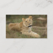 Löwin-Visitenkarte Visitenkarte (Rückseite)