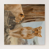 Löwinnen, die bei toten Bäumen spazieren Puzzle (Horizontal)