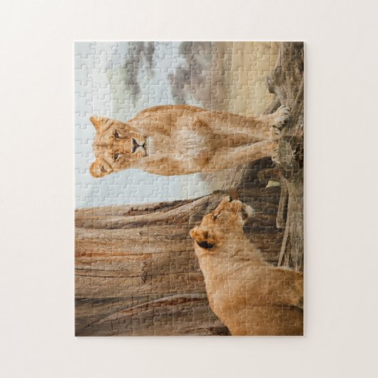Löwinnen, die bei toten Bäumen spazieren Puzzle (Vertikal)