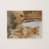 Löwinnen, die bei toten Bäumen spazieren Puzzle (Horizontal)