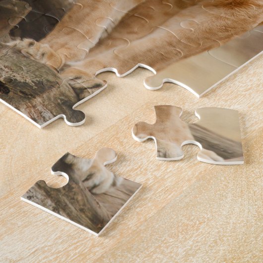 Löwinnen, die bei toten Bäumen spazieren Puzzle (Seite)