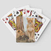 Löwinnen, die bei toten Bäumen spazieren Spielkarten (Rückseite)