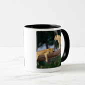 Löwinnen in einem Baum Tasse (VorderseiteRechts)