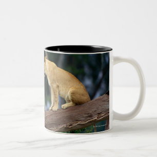 Löwinnen in einem Baum Zweifarbige Tasse