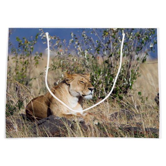 Löwinstillstehen Große Geschenktüte (Vorderseite)