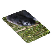 Lowland Gorilla Flexible Magnet (Rechte Seite)