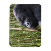 Lowland Gorilla Flexible Magnet (Vertikal)