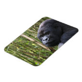 Lowland Gorilla Flexible Magnet (Linke Seite)