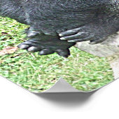 Lowland Gorilla in Sitting Pose Poster (Ecke)