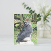 Lowland Gorilla in Sitting Pose Postkarte (Stehend Vorderseite)