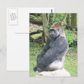 Lowland Gorilla in Sitting Pose Postkarte (Vorne/Hinten)