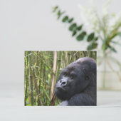 Lowland Gorilla Postcard Postkarte (Stehend Vorderseite)