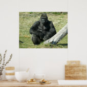 Lowland Gorilla Poster (Küche)