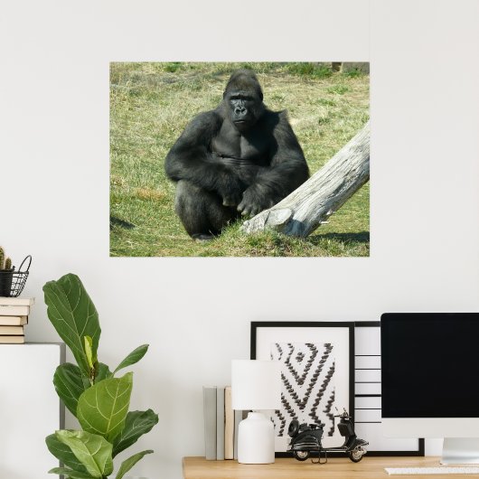 Lowland Gorilla Poster (Heimbüro)