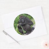 Lowland Gorilla Runder Aufkleber (Umschlag)