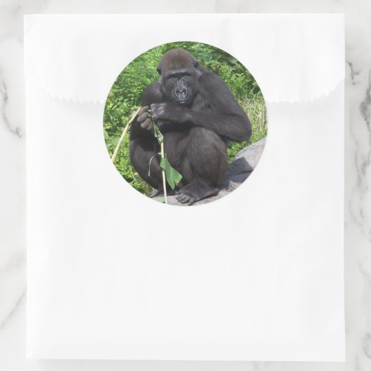 Lowland Gorilla Runder Aufkleber (Tasche)