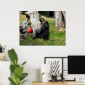 Lowland Gorilla Silverback Männchen im Zoo von Dur Poster (Heimbüro)