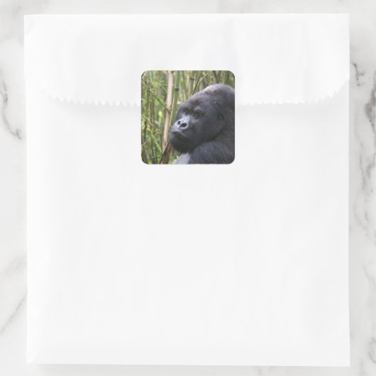 Lowland Gorilla Stickers (Tasche)