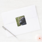Lowland Gorilla Stickers (Umschlag)