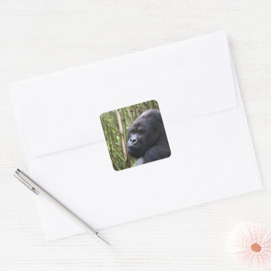 Lowland Gorilla Stickers (Umschlag)